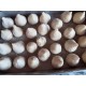 Coxinhas de frango (dúzia)