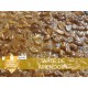 Tarte Amendoím (1 unid.)