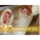 Pãozinho com Paio (6 unids.)